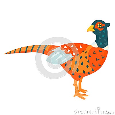 Pheasant vector illustration Vector Illustration