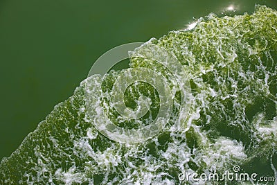 Phenomenon of blooming plankton, green sea water Stock Photo