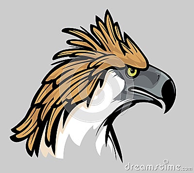 Philippine Eagle Head, Colored Side View Illustration Vector Illustration
