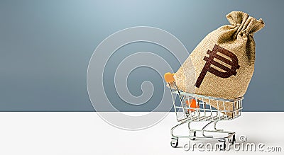 Philippine peso money bag in a shopping cart. Public budgeting. Minimum living wage. Economic bubbles. Loans, microloans. Consumer Stock Photo