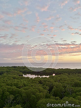 Sunset over mangrove forest ocean view Stock Photo