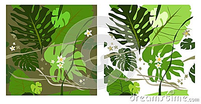 Philodendron leaves seamless Vector Illustration