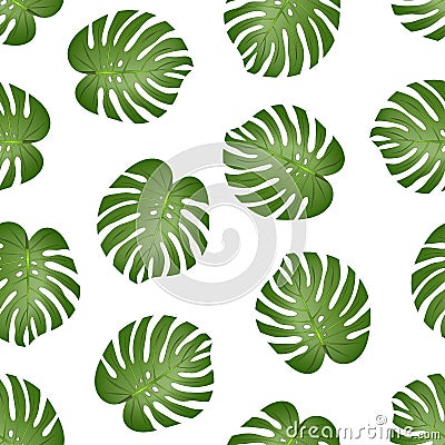 Philodendron Monstera Leaf Seamless isolated on White Background. Vector Illustration Vector Illustration