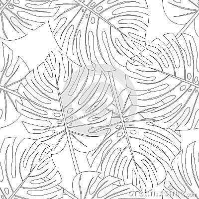 Philodendron Monstera Leaf Seamless Outline isolated on White Background. Vector Illustration Vector Illustration