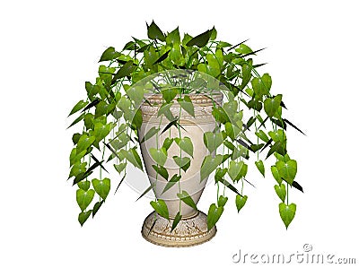 Philodendron plant in pot Cartoon Illustration
