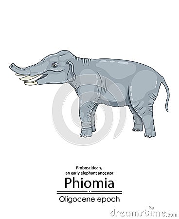 Phiomia, an early elephant ancestor Stock Photo