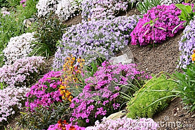 Phloxes etc in Colourful Flower Border, Norfolk, England, UK Stock Photo