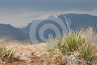 Phoenix, Arizona. Apache Trail scenery Stock Photo
