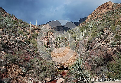 Phoenix, Arizona. Apache Trail scenery Stock Photo