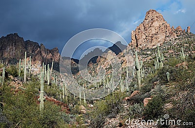 Phoenix, Arizona. Apache Trail scenery Stock Photo