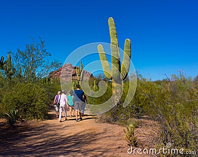 Desert Botanical Garden Phoenix Arizona Cactus Editorial Stock Photo