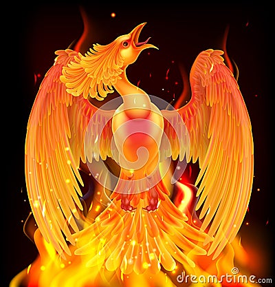 Phoenix Bird Rising From Ashes Vector Illustration