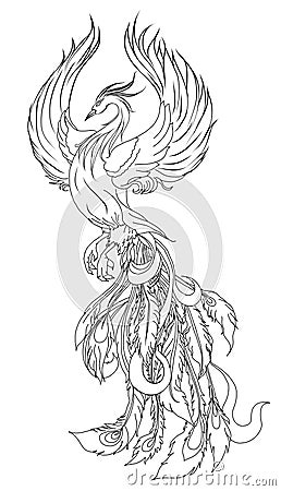 Phoenix Fire bird illustration and character design.Hand drawn Phoenix tattoo Vector Illustration