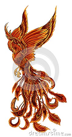 Phoenix Fire bird illustration and character design. Vector Illustration