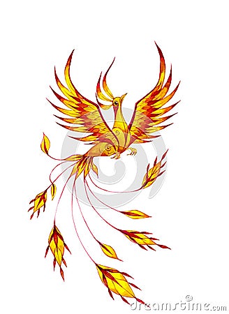 Phoenix. Tattoo design. Watercolor illustration. Cartoon Illustration