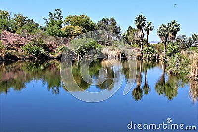 Phoenix Zoo, Arizona Center for Nature Conservation, Phoenix, Arizona, United States Stock Photo