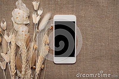 Phone with a black screen with dryed flowers Stock Photo