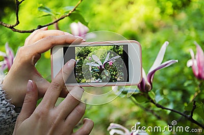 Phone in the hands of a girl Stock Photo