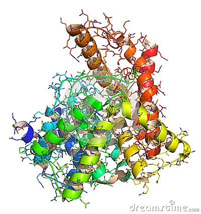 Phosphodiesterase 5 (PDE5) enzyme. Inhibition of this enzyme is the mechanism of action of sildenafil, tadalafil and vardenafil, Stock Photo
