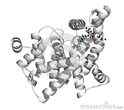 Phosphodiesterase 5 PDE5 enzyme. Inhibition of this enzyme is the mechanism of action of sildenafil, tadalafil and vardenafil,. Stock Photo