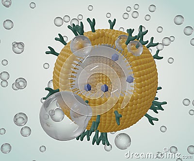 Phospholipid coated nanobubble with microbubbles and nanobubbles Stock Photo