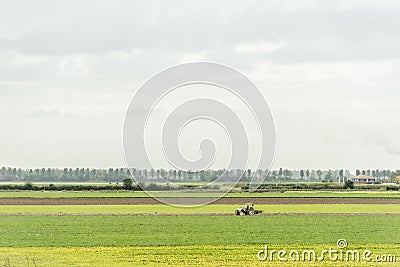 Dutch landscape in Zeeland Editorial Stock Photo