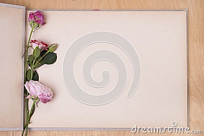 Photo album and roses Stock Photo