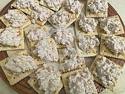 Tunafish and Crackers Appetizer Stock Photo