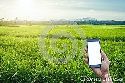 Photo Asian man holds blank smartphone, green field, blue sky backdrop Stock Photo