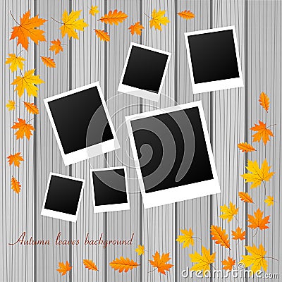 Photo autumn frames Vector Illustration