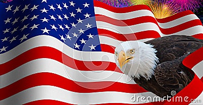 Photo of a bald eagle seen in profile on a 3D illustration of the USA flag over a night sky Cartoon Illustration