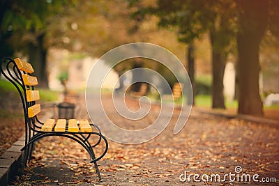 Photo of beautiful autumn park full of benches and folliage in w Stock Photo