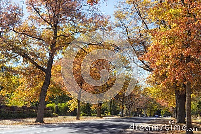 Autumn trees in Mount Macedon Stock Photo