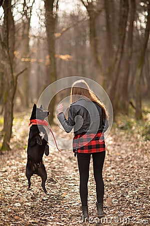 Photo of the beautiful girl with her black dog in the wood. Back view Stock Photo