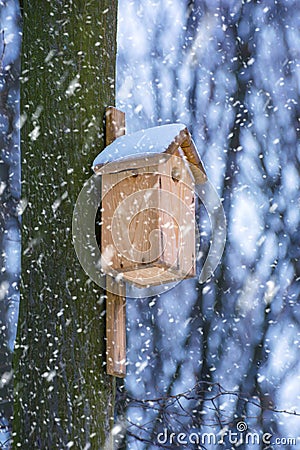 Photo of wooden birdhouse in the forest in winter Stock Photo