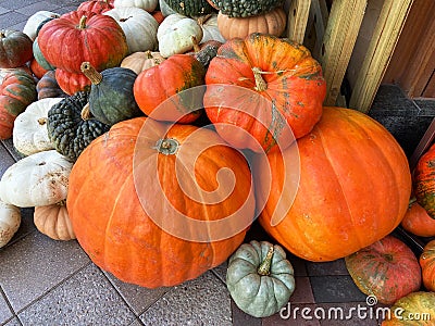 Big and Little Pumpkins for Sale Stock Photo