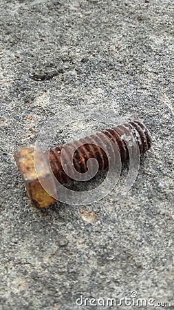 Photo of a bolt on a rusty floor Stock Photo