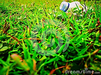 photo of bottle of mineral water on grass in morning dew Stock Photo