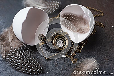 Photo camera shaped pendant hatched from white eggshell Stock Photo