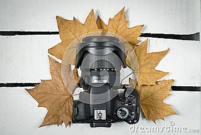 Photo camera surrounded by dry tree leaves Stock Photo