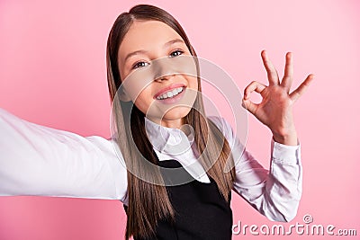 Photo of cheerful happy positive brunette small girl make camera selfie show okay sign isolated on pink color background Stock Photo