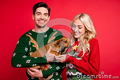 Photo of cheerful positive couple hold little cute dog wear ugly ornament pullover isolated red color background Stock Photo