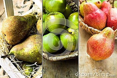 Photo collage autumn seasonal fruits, red and brown pears, green organic apples in wicker basket, farming, harvest, thanksgiving Stock Photo
