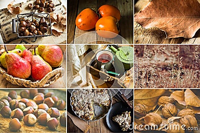 Photo collage nine square images, autumn, fall, hazelnuts, walnuts, persimmons, pears, chestnuts, apple pie, fruit tea, book, dry Stock Photo