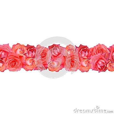 Photo collage seamless borders with red roses. Stock Photo