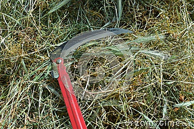 summer haymaking using a hand braid Stock Photo