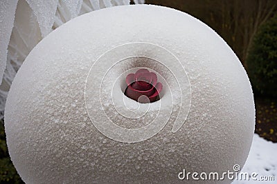 Detail of a frosted rose hip in a garden Stock Photo