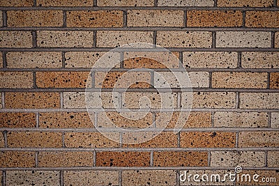 Detailed brick wall Stock Photo