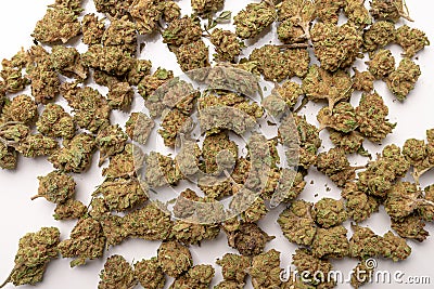 Dry marijuana buds, cannabis dried flowers, medical marijuana, laying on the white table Stock Photo