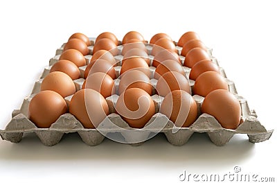 Eggs in the egg tray Stock Photo